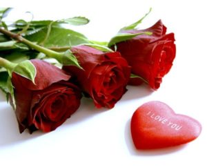 Idée Saint-Valentin : bouquet de roses