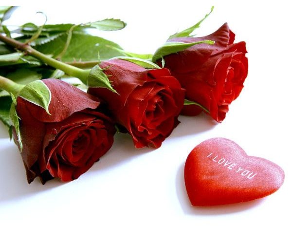 Idée Saint-Valentin : bouquet de roses