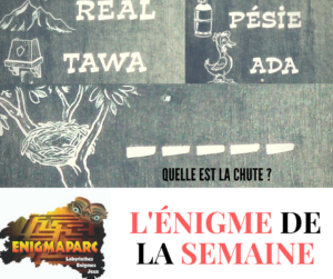 L'énigme de la news à enigmaparc : la chute