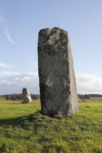 Champ de la pierre et champ horel