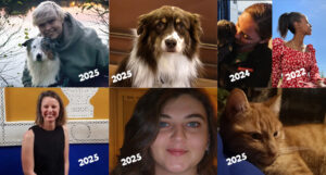 Jeu du qui est qui pour les 20 ans d'enigmaparc